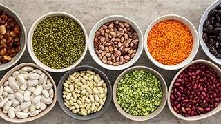 Dal