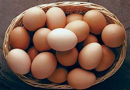EGG